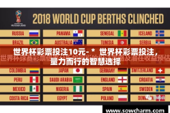 世界杯彩票投注10元-＊ 世界杯彩票投注，量力而行的智慧选择