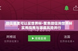 微信哪里可以买世界杯-聚焦微信购世界杯，实用指南与潜藏风险并行