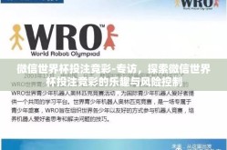 微信世界杯投注竞彩-专访，探索微信世界杯投注竞彩的乐趣与风险控制