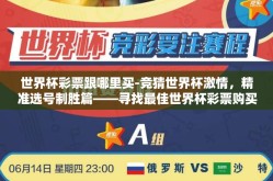 世界杯彩票跟哪里买-竞猜世界杯激情，精准选号制胜篇——寻找最佳世界杯彩票购买指南