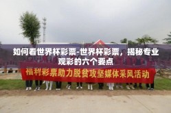 如何看世界杯彩票-世界杯彩票，揭秘专业观彩的六个要点