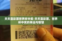 天天盈彩票世界杯中奖-天天盈彩票，世界杯中奖的幸运与智慧