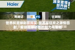 世界杯足球彩票购买-世界杯狂欢之激情四射，解锁足球彩票的魅力与策略