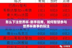 怎么下注世界杯-新手指南，如何智慧参与世界杯赛事的投注