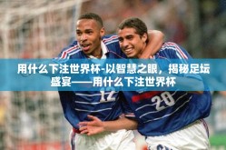 用什么下注世界杯-以智慧之眼，揭秘足坛盛宴——用什么下注世界杯