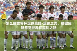 怎么赌世界杯足球赢钱-足球之光，稳健策略照亮世界杯赢利之路