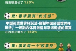 天天中彩票赢球世界杯-记录我的彩券与足球激情，天天中彩票赢球世界杯的梦想之旅