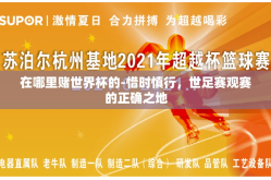 在哪里赌世界杯的-惜时慎行，世足赛观赛的正确之地