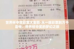 世界杯中奖彩票大金额-从一纸彩票到万千喜悦，世界杯中奖的梦幻之旅