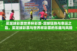 买足球彩票世界杯彩票-足球狂热与幸运之匙，买足球彩票与世界杯彩票的乐趣与风险