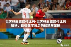 世界杯彩票赔付比例-世界杯彩票赔付比例解析，读懂数字背后的智慧与策略