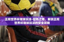 正规世界杯赌球玩法-狂热之舞，解锁正规世界杯赌球玩法的安全攻略