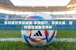 怎样赌世界杯球赛-掌握技巧，享受比赛，如何理智观赛世界杯