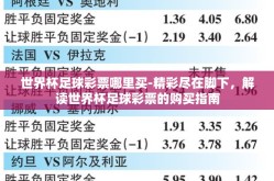 世界杯足球彩票哪里买-精彩尽在脚下，解读世界杯足球彩票的购买指南