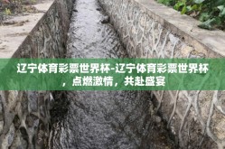 辽宁体育彩票世界杯-辽宁体育彩票世界杯，点燃激情，共赴盛宴