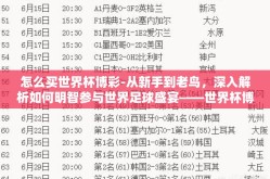 怎么买世界杯博彩-从新手到老鸟，深入解析如何明智参与世界足球盛宴——世界杯博彩的乐趣与风险