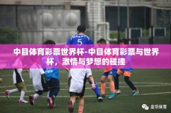 中目体育彩票世界杯-中目体育彩票与世界杯，激情与梦想的碰撞