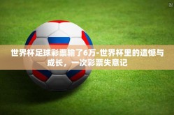 世界杯足球彩票输了6万-世界杯里的遗憾与成长，一次彩票失意记