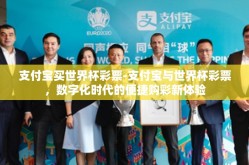 支付宝买世界杯彩票-支付宝与世界杯彩票，数字化时代的便捷购彩新体验