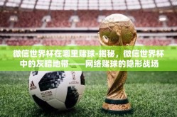 微信世界杯在哪里赌球-揭秘，微信世界杯中的灰暗地带——网络赌球的隐形战场