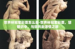 世界杯冠军彩票怎么买-世界杯冠军彩票，慧眼识中，与您共赴激情之旅