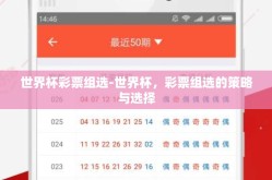 世界杯彩票组选-世界杯，彩票组选的策略与选择