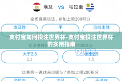 支付宝如何投注世界杯-支付宝投注世界杯的实用指南