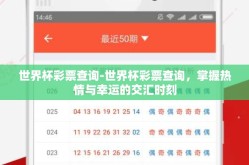 世界杯彩票查询-世界杯彩票查询，掌握热情与幸运的交汇时刻