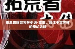 重生去赌世界杯小说-重生，赌注于世界杯的奇幻之旅