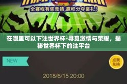 在哪里可以下注世界杯-寻觅激情与荣耀，揭秘世界杯下的注平台