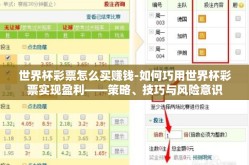 世界杯彩票怎么买赚钱-如何巧用世界杯彩票实现盈利——策略、技巧与风险意识