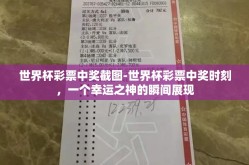 世界杯彩票中奖截图-世界杯彩票中奖时刻，一个幸运之神的瞬间展现