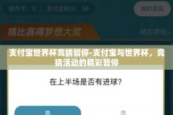 支付宝世界杯竞猜暂停-支付宝与世界杯，竞猜活动的精彩暂停