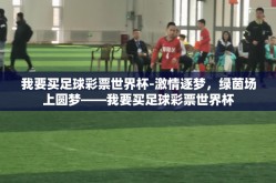 我要买足球彩票世界杯-激情逐梦，绿茵场上圆梦——我要买足球彩票世界杯