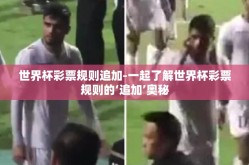 世界杯彩票规则追加-一起了解世界杯彩票规则的‘追加’奥秘