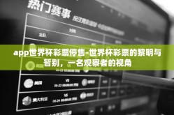 app世界杯彩票停售-世界杯彩票的黎明与暂别，一名观察者的视角