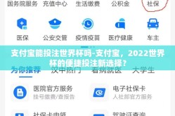 支付宝能投注世界杯吗-支付宝，2022世界杯的便捷投注新选择？