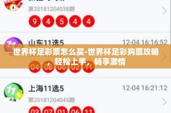 世界杯足彩票怎么买-世界杯足彩购票攻略，轻松上手，畅享激情