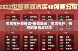 看世界杯买彩票-鏖战绿茵，看世界杯，彩民的激情与期待