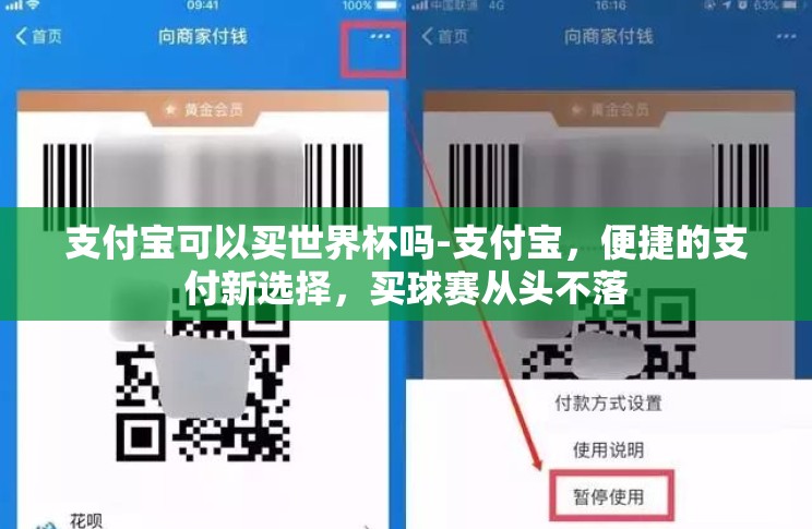 支付宝可以买世界杯吗-支付宝,便捷的支付新选择,买球赛从头不落 支付宝可以买世界杯吗-支付宝,便捷的支付新选择,买球赛从头不落