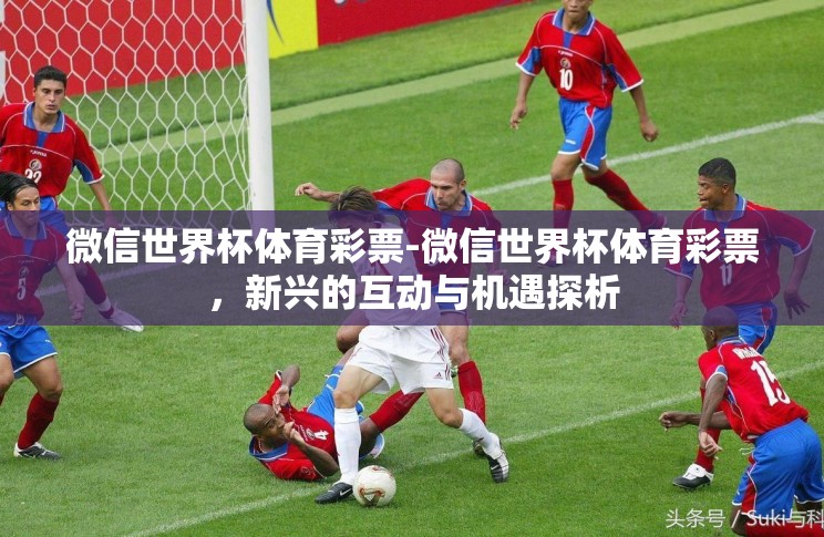 微信世界杯体育彩票-微信世界杯体育彩票，新兴的互动与机遇探析