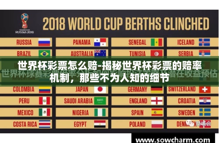 世界杯彩票怎么赔-揭秘世界杯彩票的赔率机制，那些不为人知的细节