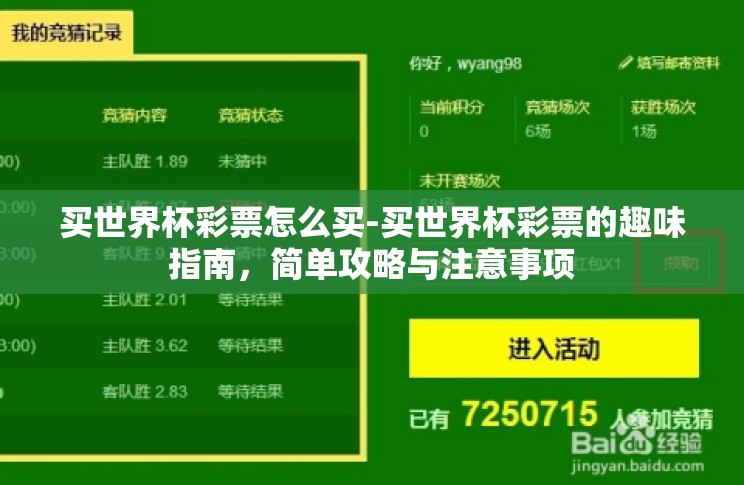 买世界杯彩票怎么买-买世界杯彩票的趣味指南，简单攻略与注意事项