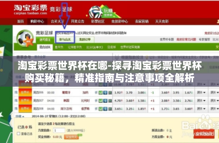 淘宝彩票世界杯在哪-探寻淘宝彩票世界杯购买秘籍，精准指南与注意事项全解析