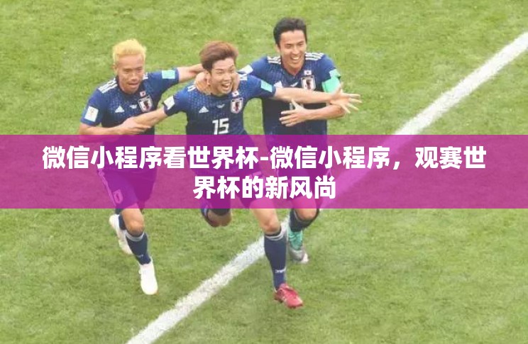 微信小程序看世界杯-微信小程序,观赛世界杯的新风尚 微信小程序看世界杯-微信小程序,观赛世界杯的新风尚