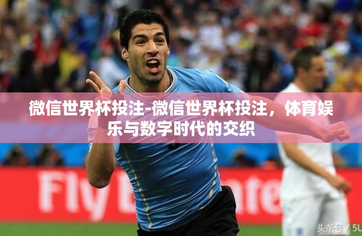 微信世界杯投注-微信世界杯投注，体育娱乐与数字时代的交织