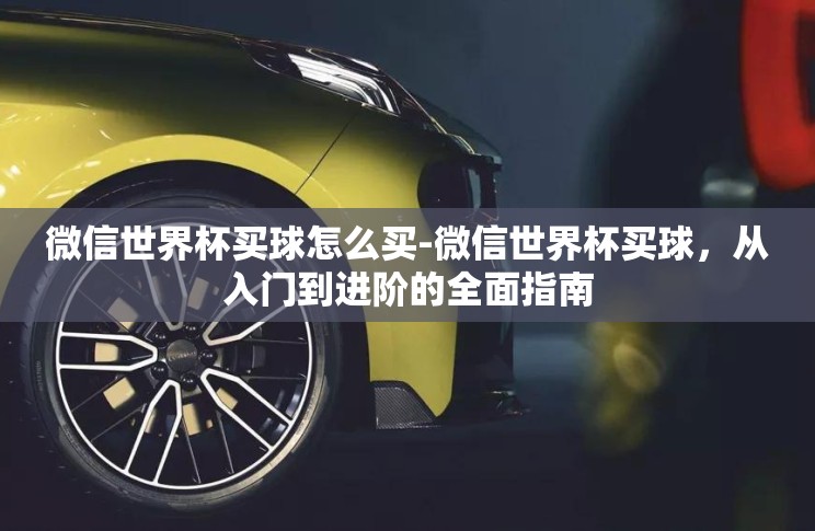 微信世界杯买球怎么买-微信世界杯买球,从入门到进阶的全面指南 微信世界杯买球怎么买-微信世界杯买球,从入门到进阶的全面指南