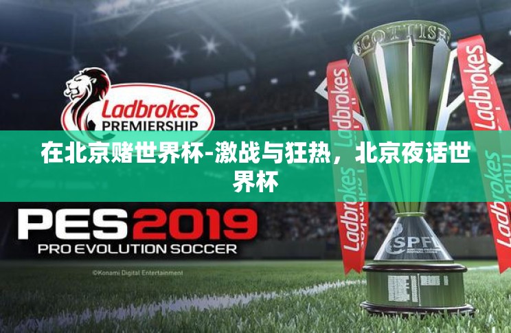 在北京赌世界杯-激战与狂热,北京夜话世界杯 在北京赌世界杯-激战与狂热,北京夜话世界杯