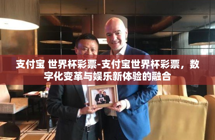 支付宝 世界杯彩票-支付宝世界杯彩票，数字化变革与娱乐新体验的融合