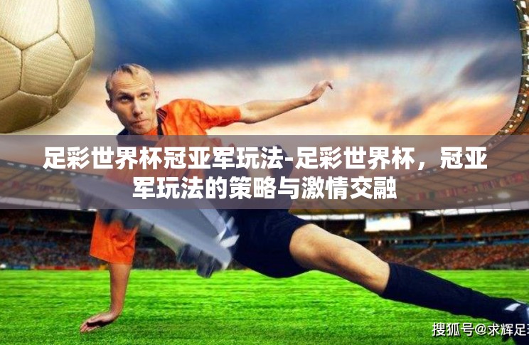 足彩世界杯冠亚军玩法-足彩世界杯，冠亚军玩法的策略与激情交融